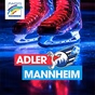 Radio Regenbogen - Adler Mannheim logo