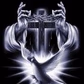 D4C Radio logo