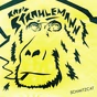 radio-strahlemann logo