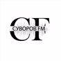 Радио Суворов FM logo