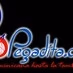 Pegadita.com logo