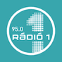 FM95 Rádió 1 Debrecen logo