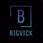 BIGVICK RADIO logo