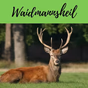 Waidmannsheil logo
