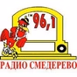 Radio SD 96.1 logo