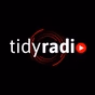 Tidy Guides logo