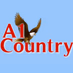 A1-Country Radio - Lightning Country Radio logo