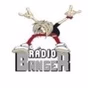 Rádio BangeR logo