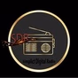 Simplict Digital Radio logo