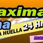 MAXIMA Latina logo