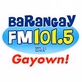 Barangay FM 101.5 Naga - DWQW logo