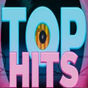 Rádio Top Hits FM logo