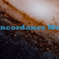 ConcordanceMusic.net logo