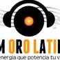 FM Oro Latino logo