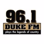 96.1 Duke FM - WDKE logo