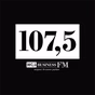 Business FM Уфа logo