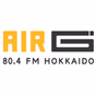 AIR-G' 北海道 logo