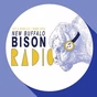 Bison Radio - WNBI-LP logo