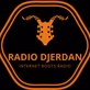 Radio Djerdan logo