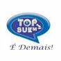 Top Sul FM logo