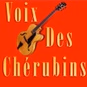 Voix Des Chérubins logo