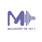 Malazgirt FM logo