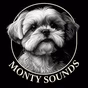 Monty Sounds Radio logo
