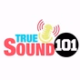 True Sound 101 logo