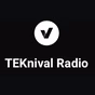 TEKnival Radio logo