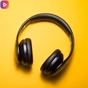 BLOEMLIVE logo