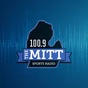 100.9 The Mitt - WLUN logo