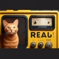 Rsdio Real logo