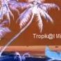 Tropikal Mixx logo
