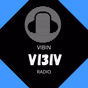VIBIN RADIO logo