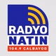 Radyo Natin Calbayog - DYSI logo