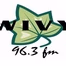 Ivy 96.3 - WIVY logo