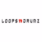 Loopsndrumz Music Station logo