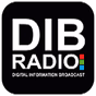 DIB Radio - ​ديب راديو logo