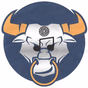 Vyberinth Radio logo