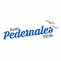 Empresas Radiofónicas - Radio Pedernales logo