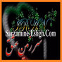 Radio Sarzamine Eshgh logo