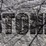The Stone logo
