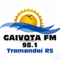 Rádio Gaivota logo