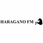 Rádio Haragano FM logo