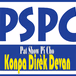 PatShow PiCho Radio logo