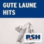 R.SH - Gute Laune Hits logo