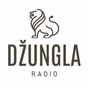 Radio Džungla - Live I Program logo