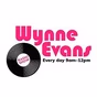 The Wynne Evans Show logo