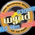 Oldies 930 - WGAD logo