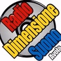 Radio Dimensione Suono logo